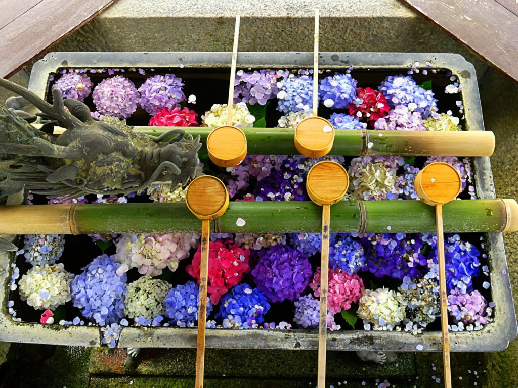 紫陽花の手水舎 京都の楊谷寺はインスタ映え寺で美しすぎて行く価値大アリ グルメライターのメモ帳の中味